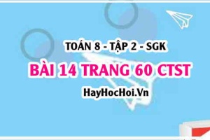 Bài 14 trang 60 Toán 8 Tập 2 Chân trời sáng tạo